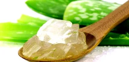 recept recept