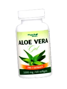 aloe vera