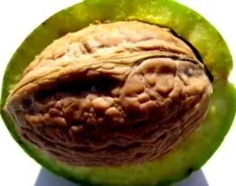 időre időről