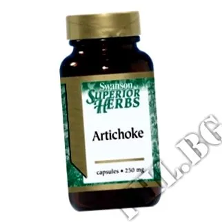 artichoke artichoke