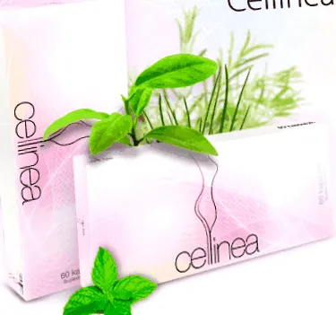 cellulit cellinea