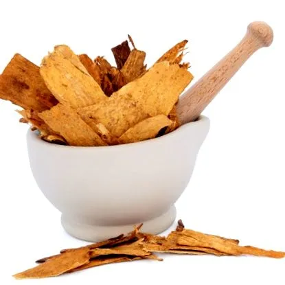 astragalus egészségügyi