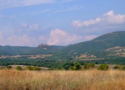 lyubimets