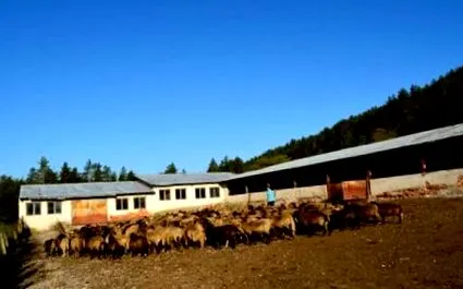irányítja