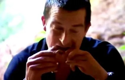 medve grylls
