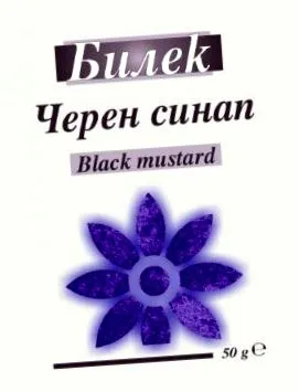bilek