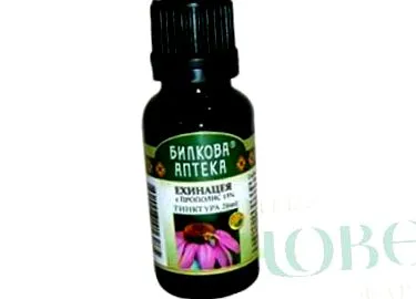 echinacea tinktúra