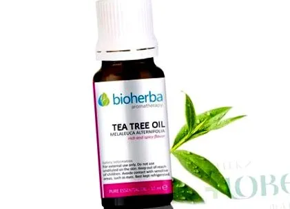 bioherba olaj