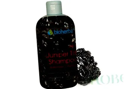 shampoo bioherba
