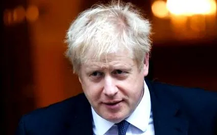 fogyni johnson