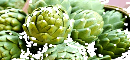 alakért articsóka