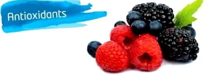 vitaminok ásványi anyagok antioxidánsok