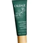 purifying mask