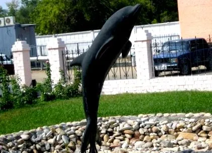 delfin delfin