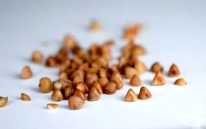napos hajdina