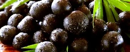acai bogyós
