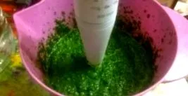 mint mint