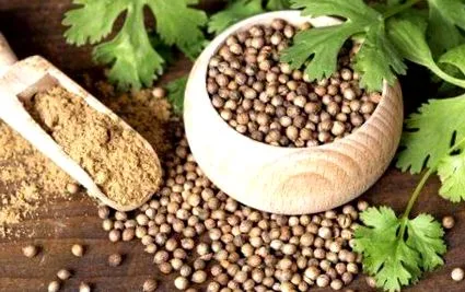 elemi