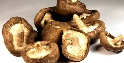 immunstimuláló poliszacharidokat