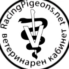 galambokban