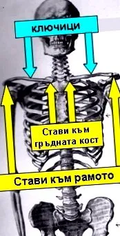 elmozdulása kulcscsont elmozdulása