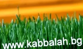 minden embernek anélkül
