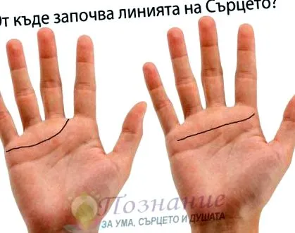 tenyérjóslásban