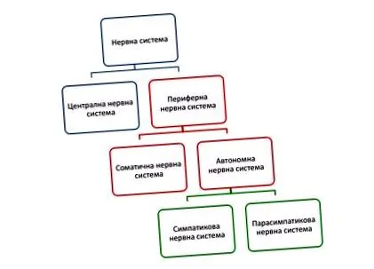 vitareal hogyan