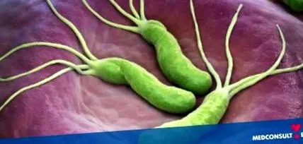 Helicobacter pylori