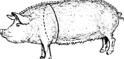 megtudni megtudni