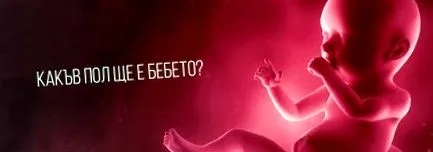 lesz nemű