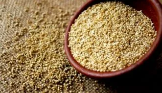 quinoa quinoa