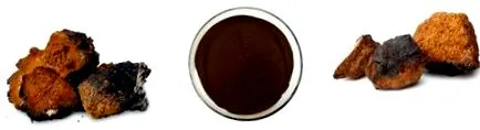 kivonat