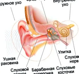 származó