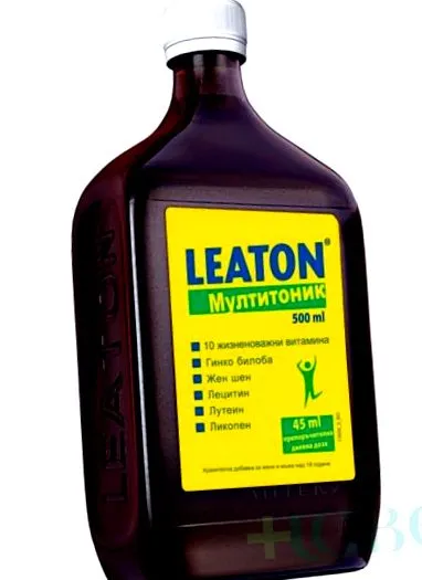 energiainder Leaton Multitonic