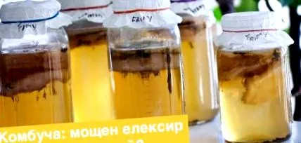elixír