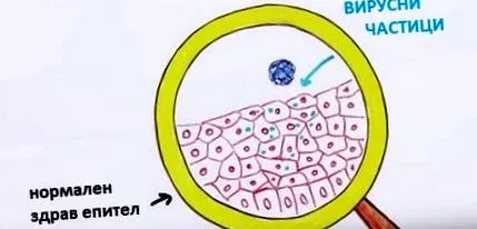csirketövis csirketövis