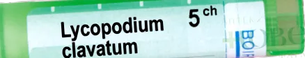 LYCOPODIUM CLAVATUM homeopátiás gyógyszer