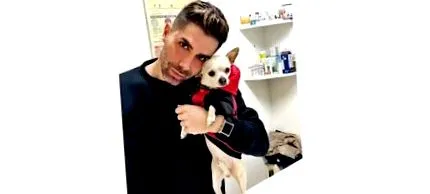 kutya kutya