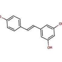 transz-rezveratrol erős
