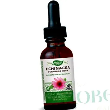 echinacea