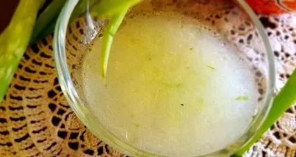 aloe aloe