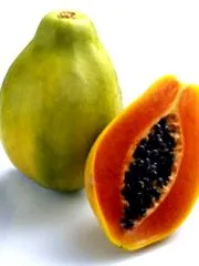 papain