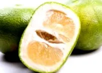 grapefruit