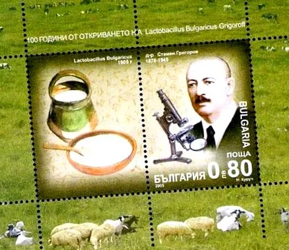 gyógybaktériumok joghurt