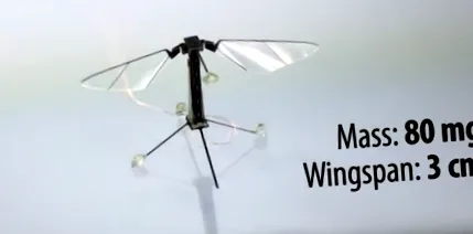 földet