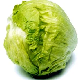 táplálkozás különféle