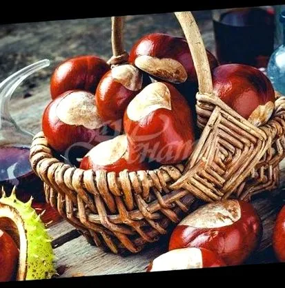 előnyei vadgesztenye