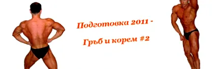 2011