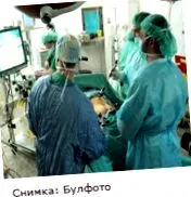 spanyolországban átültetett
